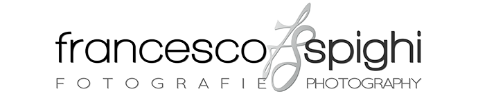 copy-francesco-spighi-fotografo-matrimonio-toscana-firenze.png