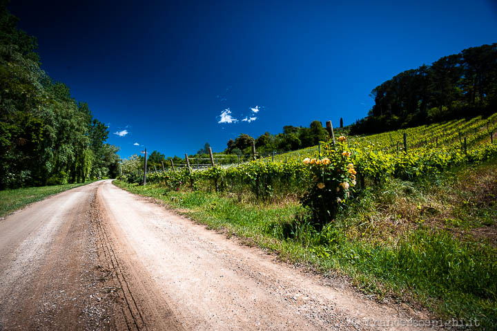wedding photographer tuscany | Florence | indu traditional ceremony