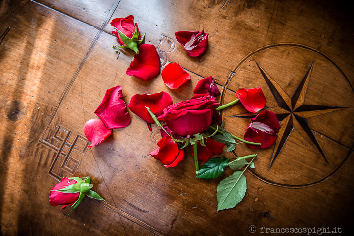 sugi-kuba-foto-matrimonio-indu-firenze-wedding-reportgage-florence-francesco-spighi-fotografo-1092