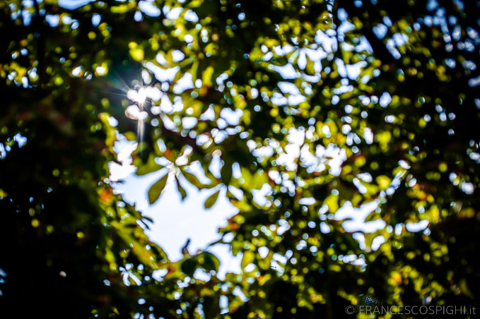 Francesco Spighi | Wedding photographer Tuscany | Florence - wedding photographer garda lake | Fotografo matrimonio Firenze