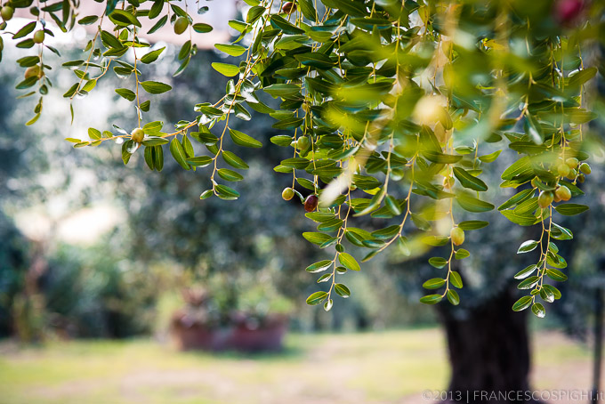 Wedding photographer in tuscany, florence | Fotografo Matrimonio Firenze
